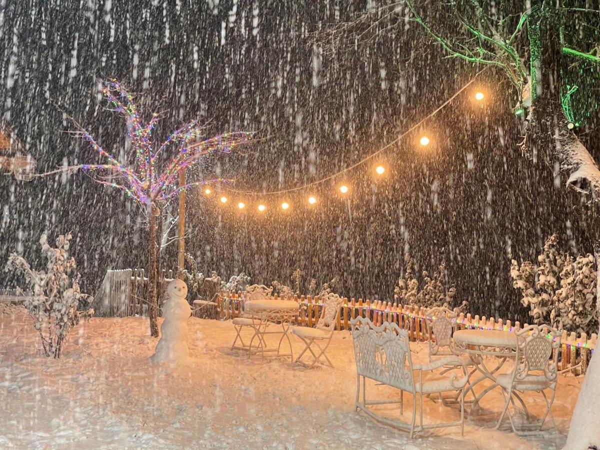 فندق Bajram Curriفي  Chestnut Hill المظهر الخارجي الصورة